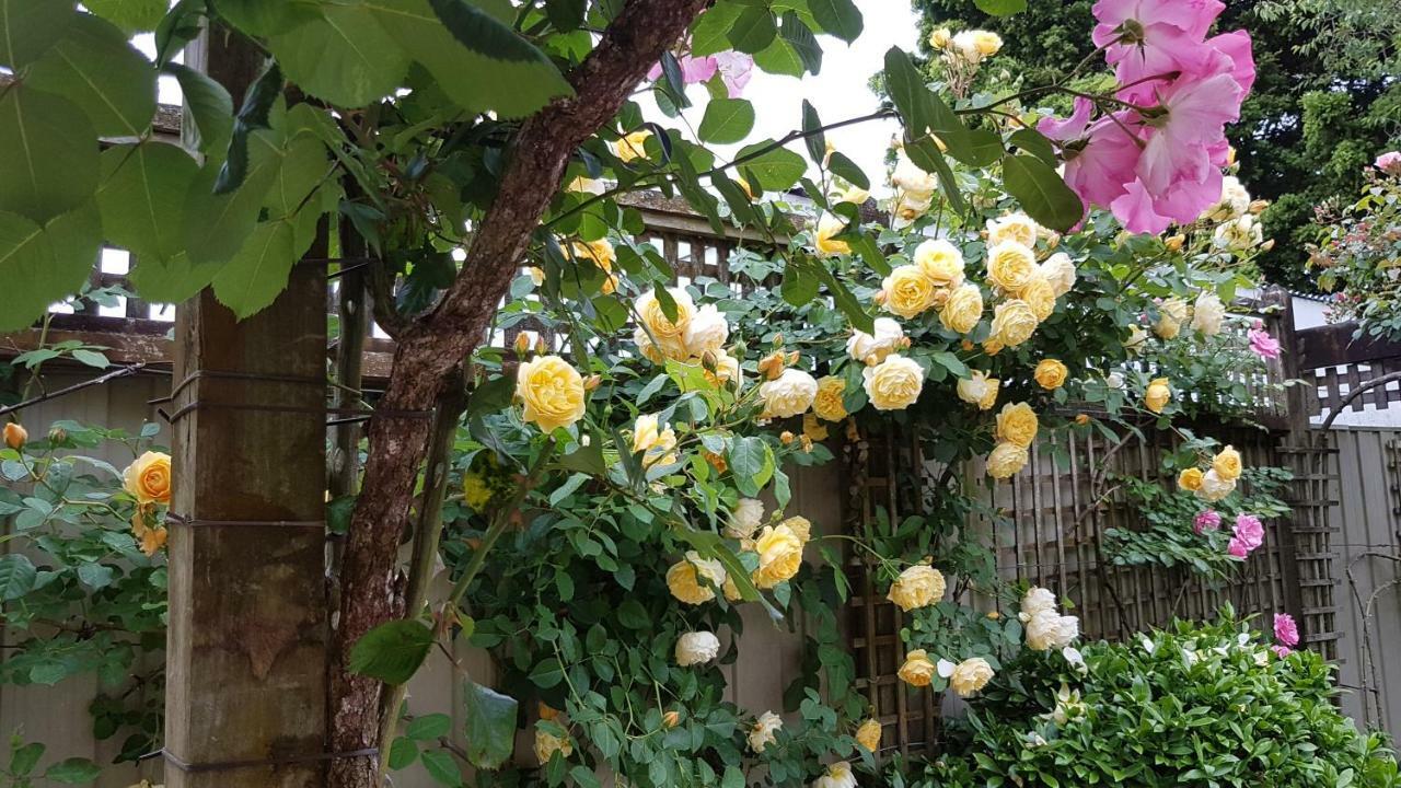 59 Chaucer Apartment เคมบริดจ์ ภายนอก รูปภาพ